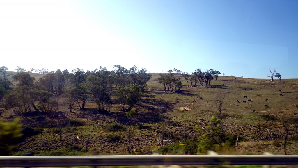 DSC00419.JPG