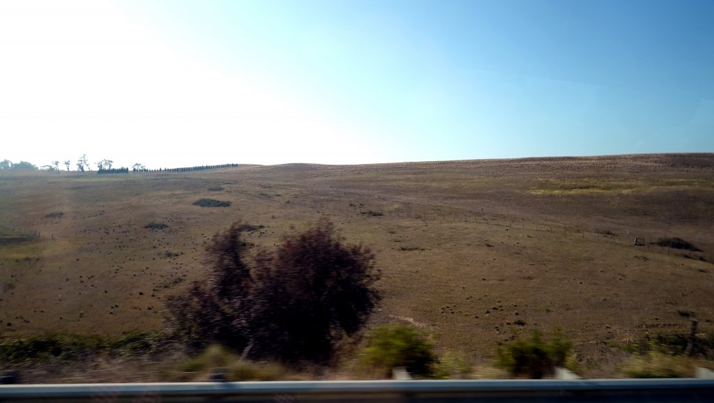 DSC00420.JPG