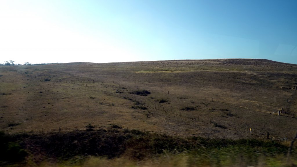 DSC00421.JPG