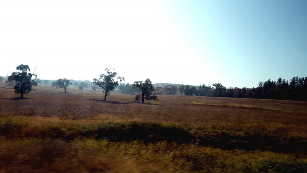 DSC00424.JPG