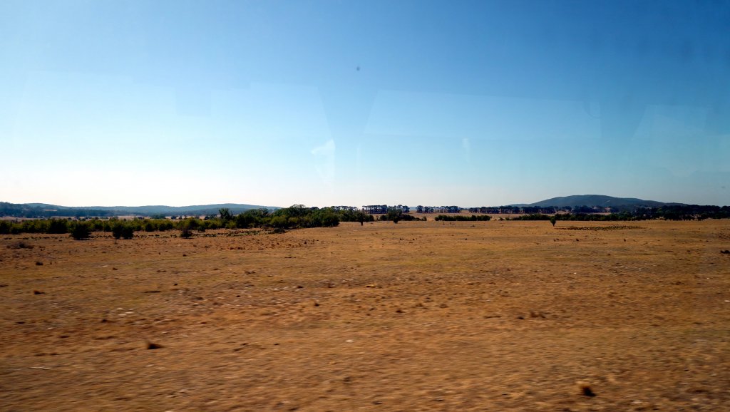 DSC00434.JPG