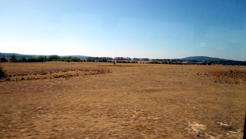 DSC00435.JPG