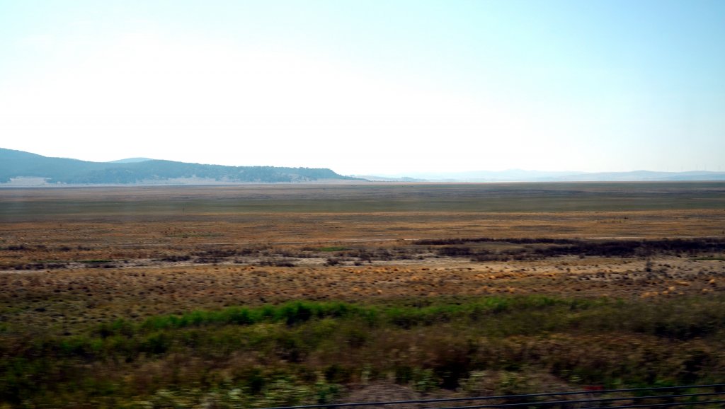 DSC00439.JPG