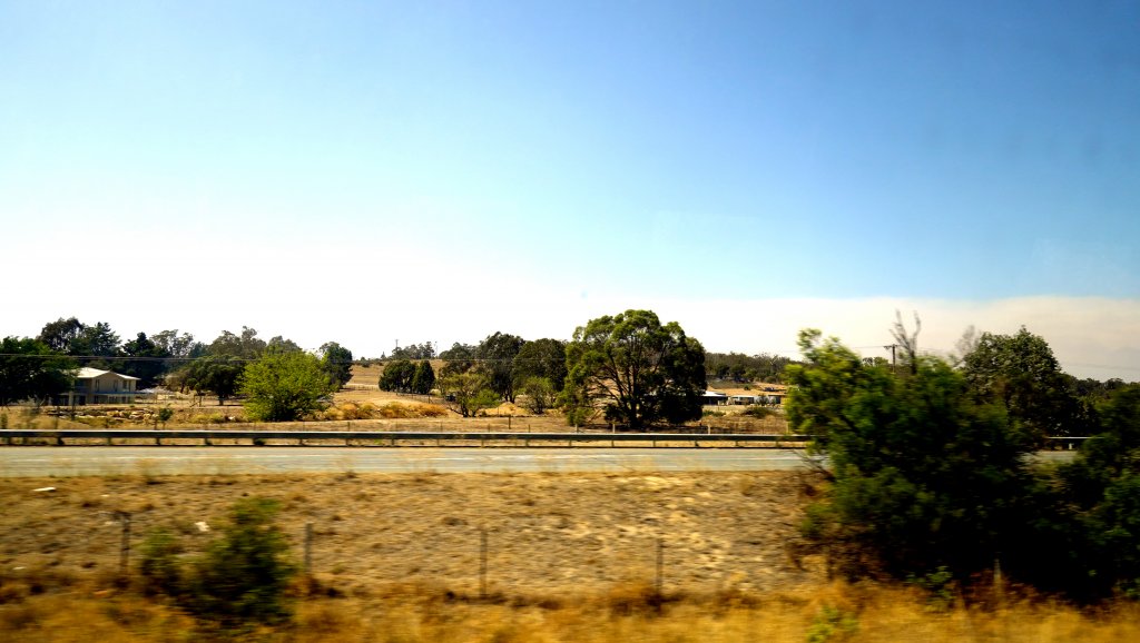 DSC00440.JPG