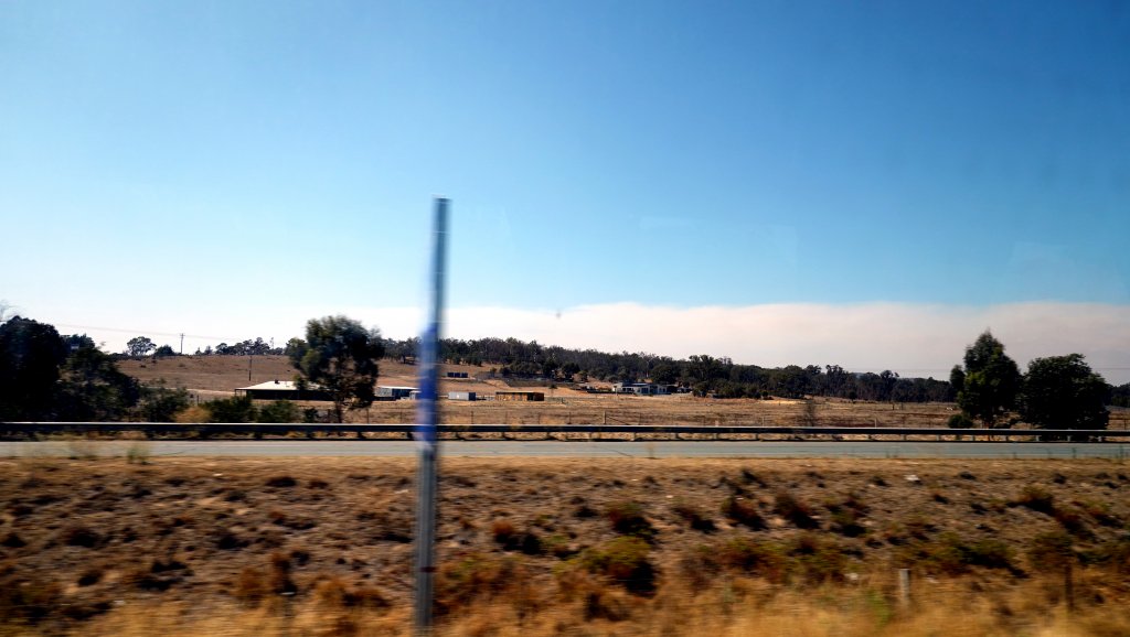 DSC00441.JPG