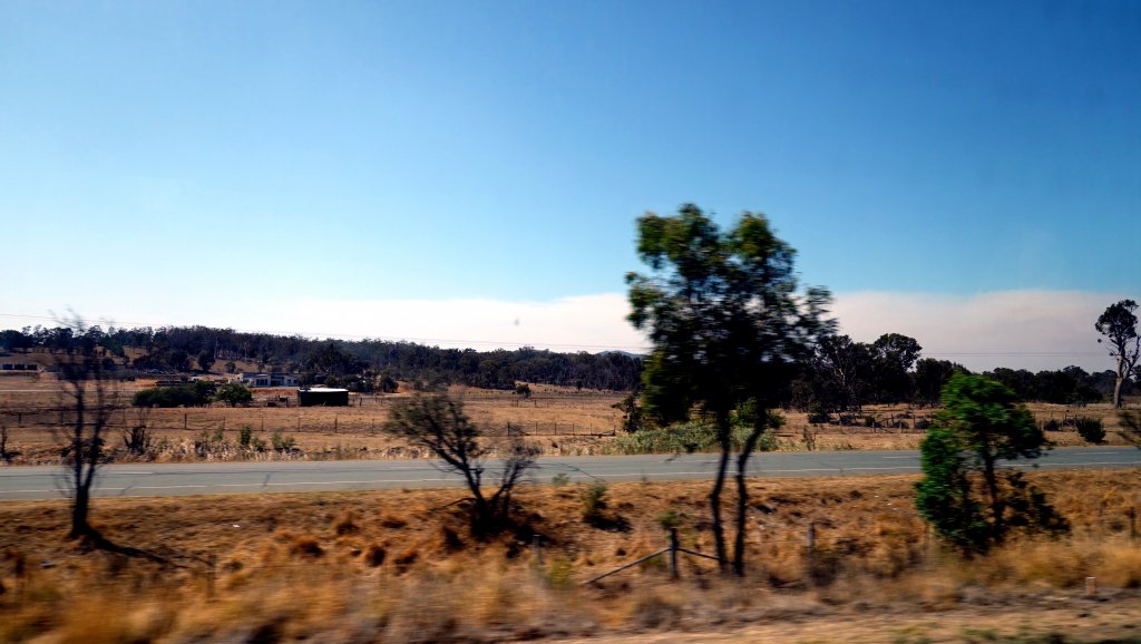 DSC00443.JPG