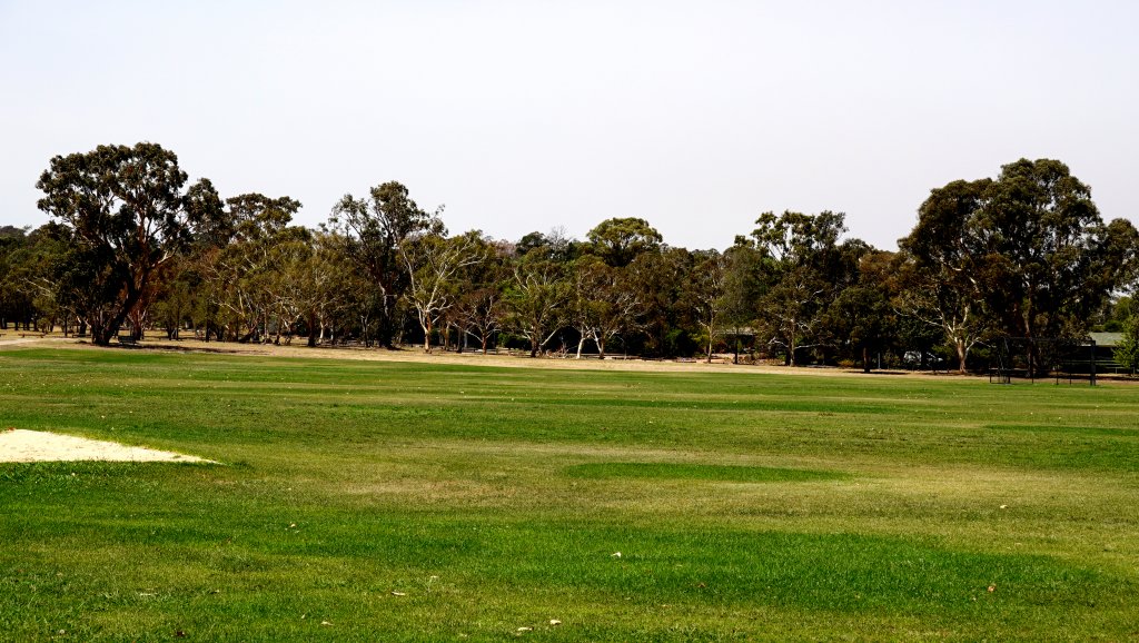 DSC00479.JPG
