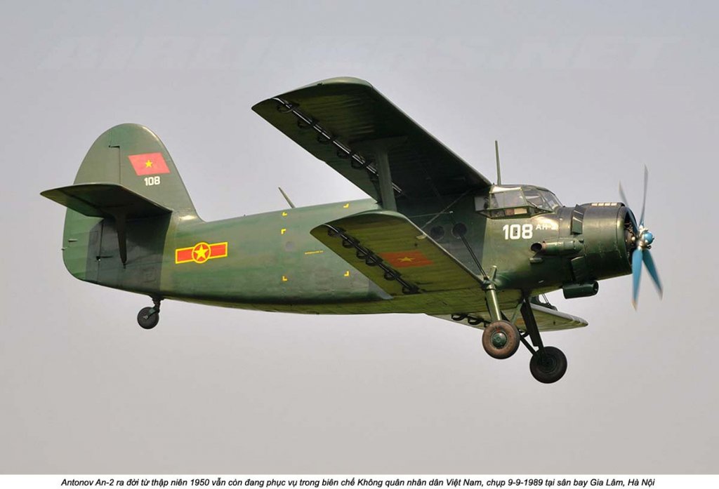 An-2 Kukuruznik (4).jpg