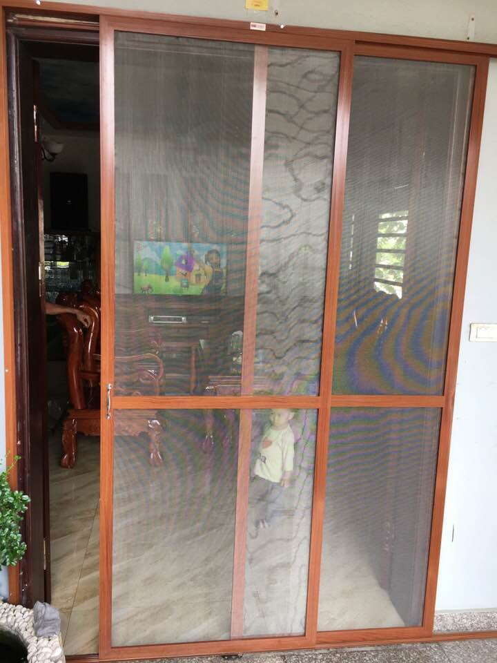 di trượt 2 canh sole.jpg