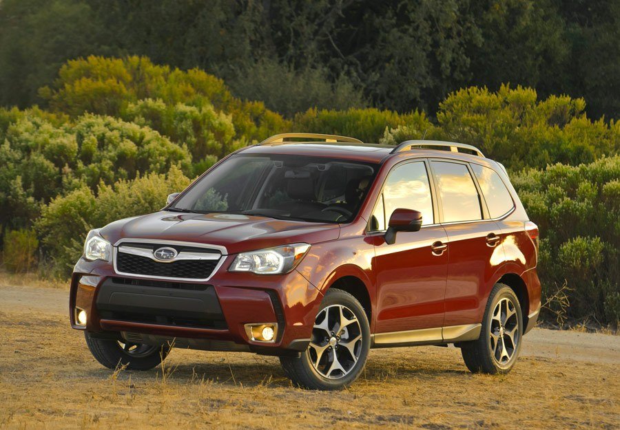 Forester5.jpg