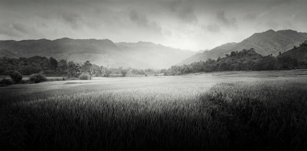 Son-La-Rice,-Son-La-Province,-Vietnam---2000.jpg