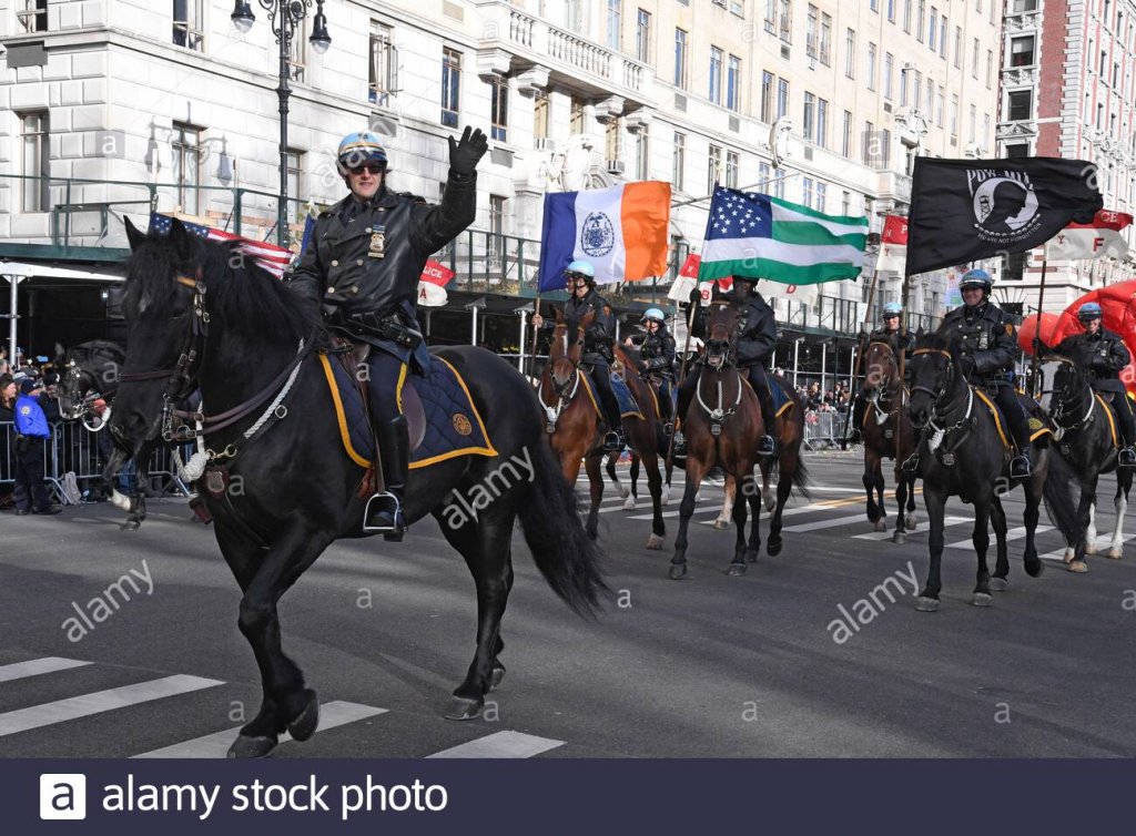 US police horse.jpg