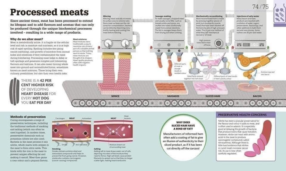 How-Food-Works-The-Facts-Visually-Explained-13.jpg