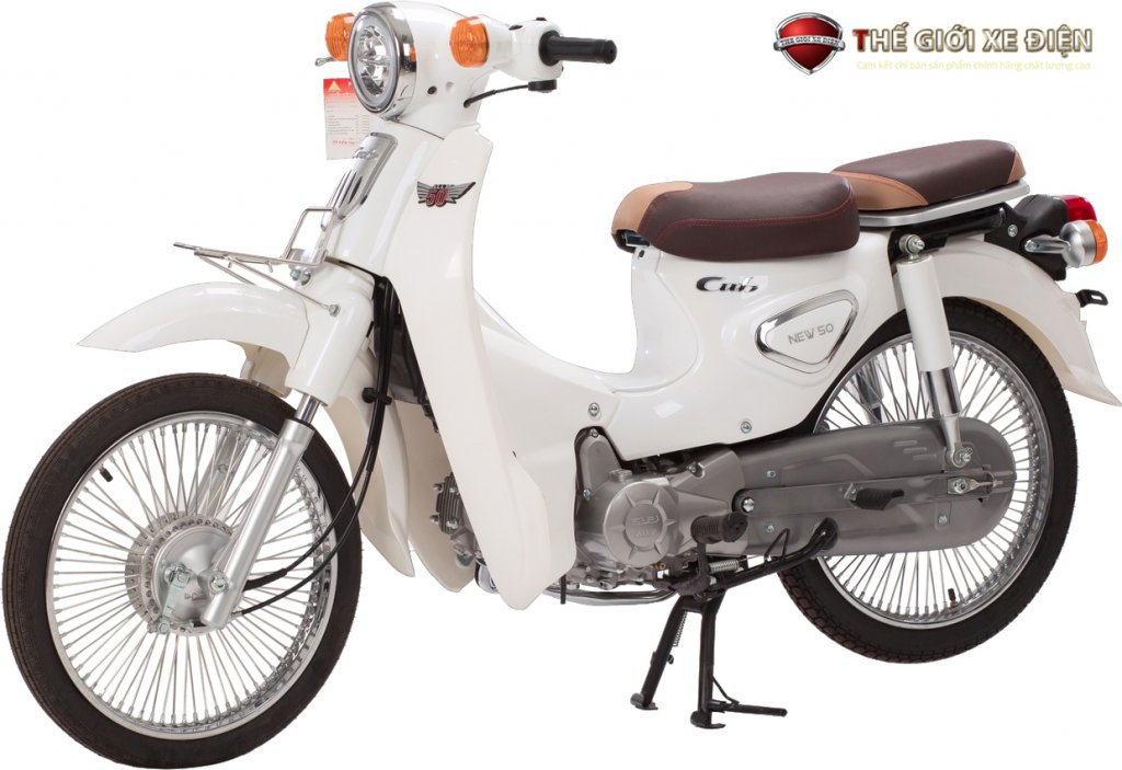 1590245881_xe-may-50cc-cub-new-ally-avt-tgxd.jpg