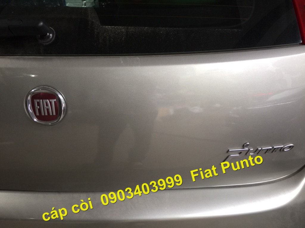 Fiat Punto1 (2).jpg