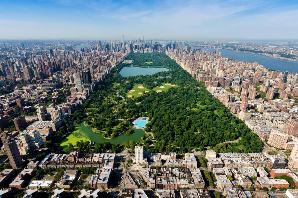 central_park_header.jpg