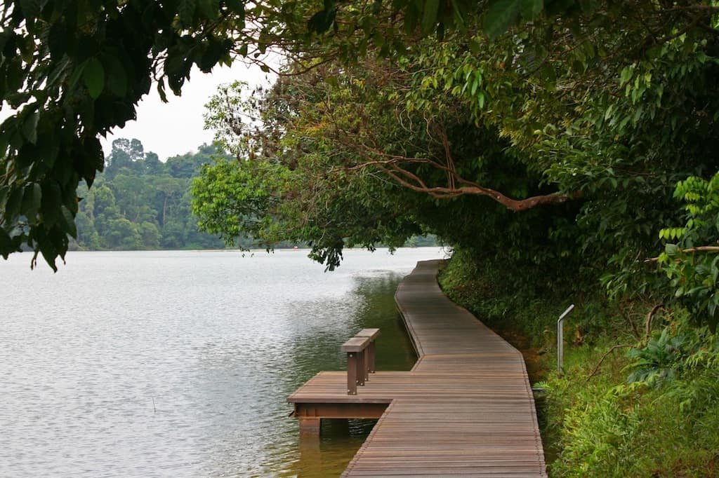 MacRitchie-reservoir.jpg