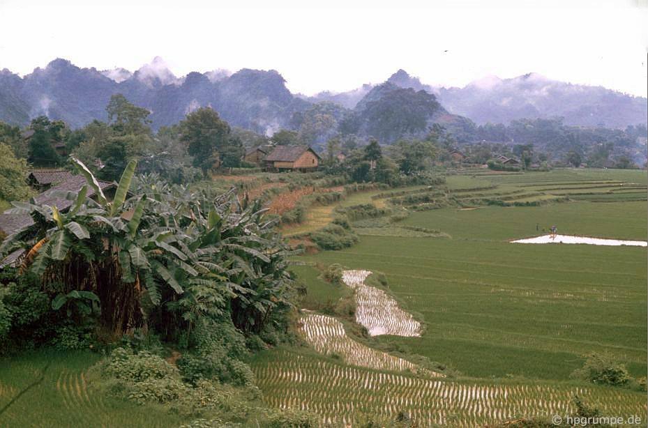 vietnam_1993_00132.jpg