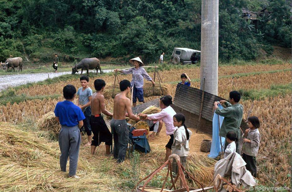 vietnam_1993_00135.jpg