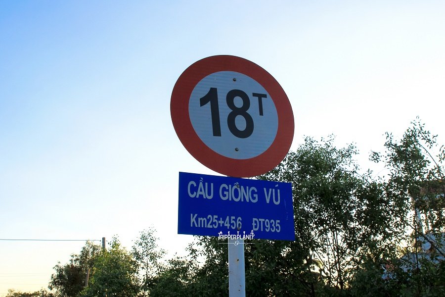 Giồng vú.jpg