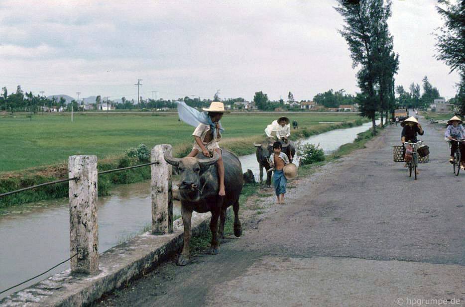 vietnam_1991_01118a.jpg