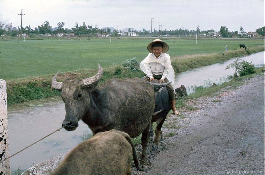 vietnam_1991_01118c.jpg