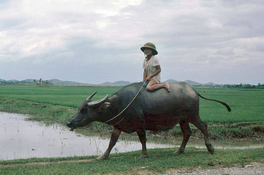 vietnam_1991_01119a.jpg