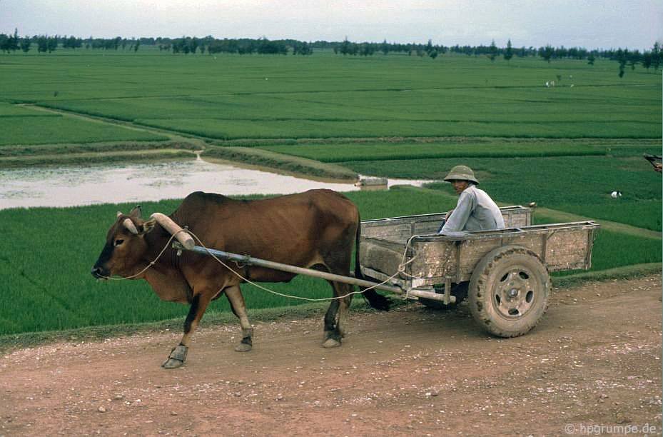 vietnam_1991_01021.jpg