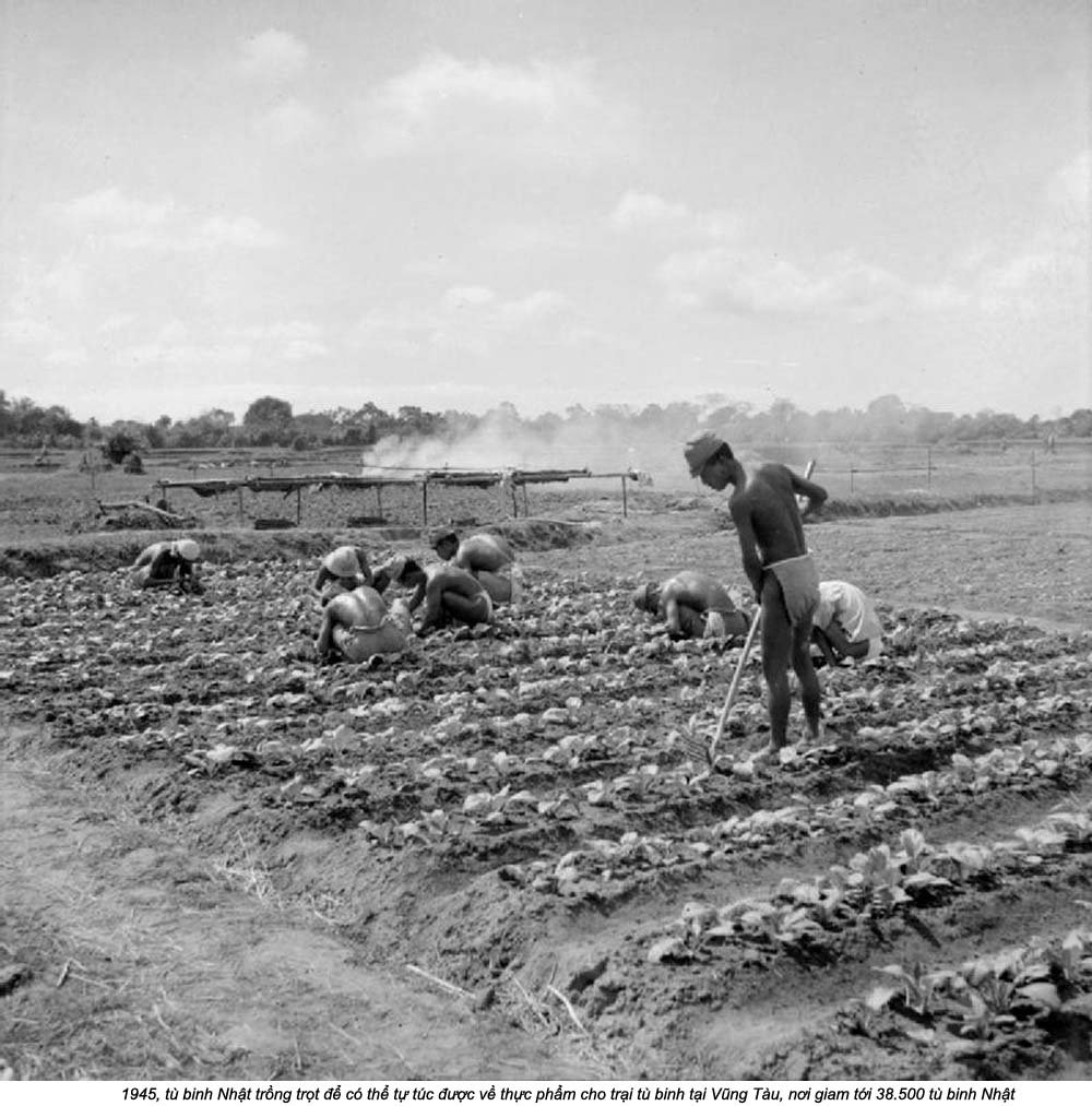 Viet Nam 1945 (5_25) .jpg