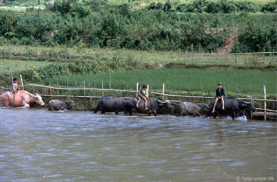 vietnam_1992_00638.jpg