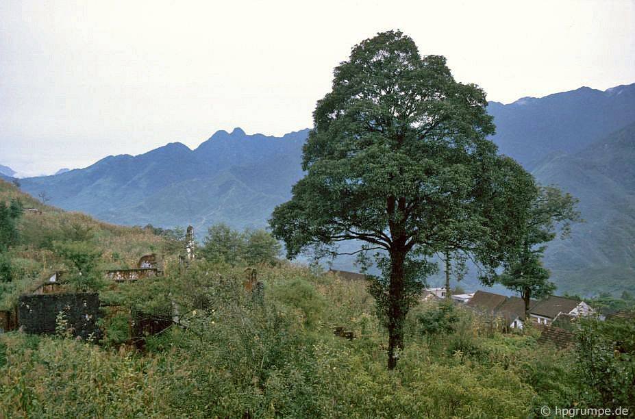 vietnam_1992_00807.jpg