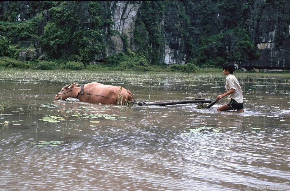 vietnam_1991_00908.jpg