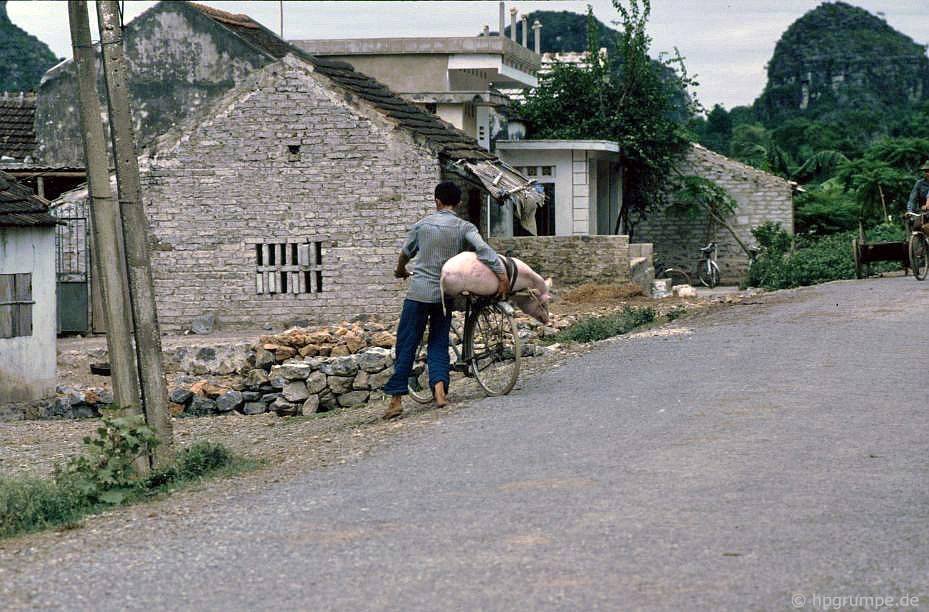 vietnam_1991_00951.jpg