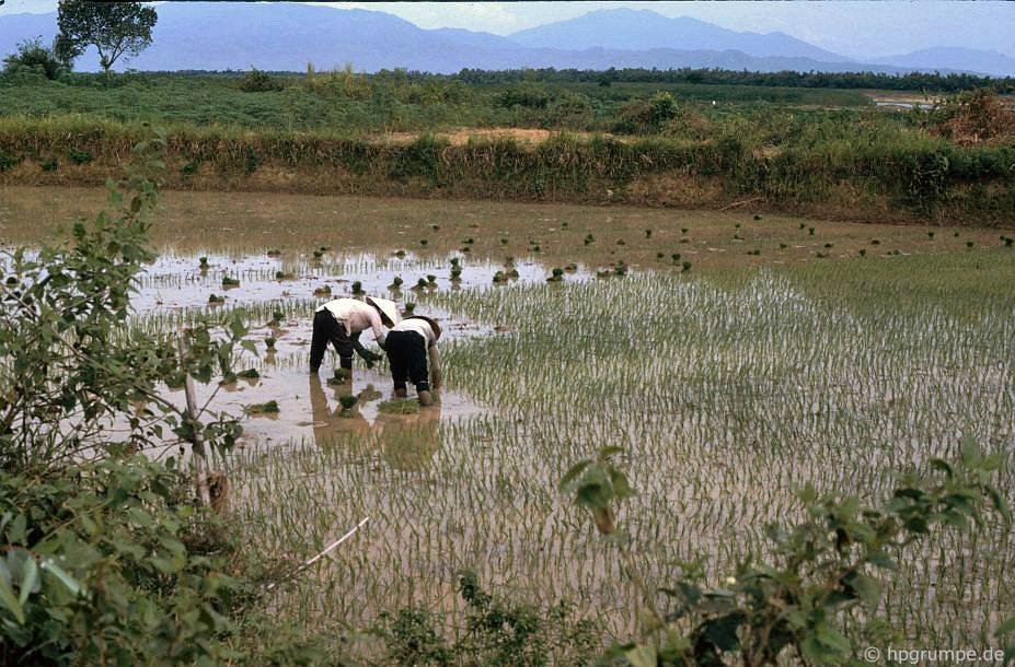 vietnam_1991_00520.jpg