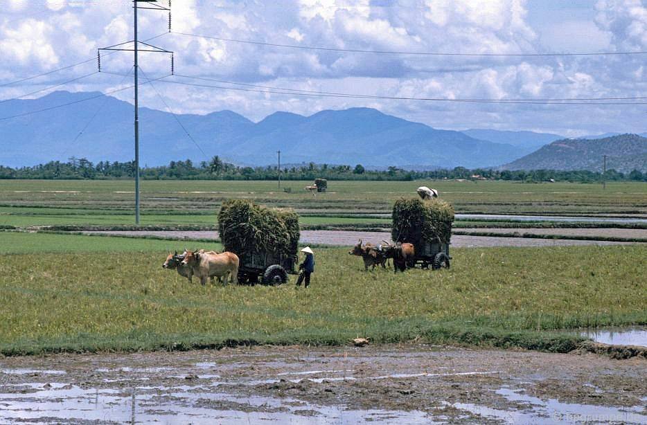 vietnam_1992_00382.jpg