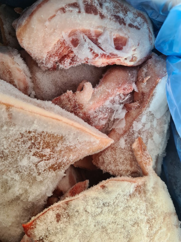 20200917_163040.jpg