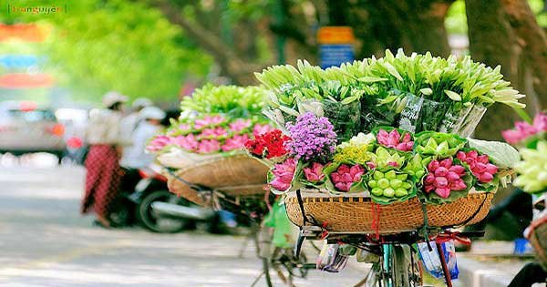 4241_xe-dap-muu-sinh.jpg