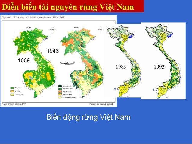 Bản-đồ-biến-động-rừng-việt-nam-qua-các-thời-kỳ.jpg