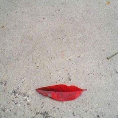Leaf kiss.jpg