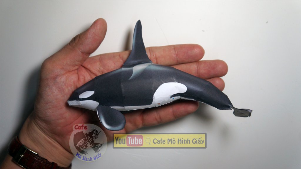 Mua sắm mô hình Cá voi sát thủ cho bé tại Hieutrecom
