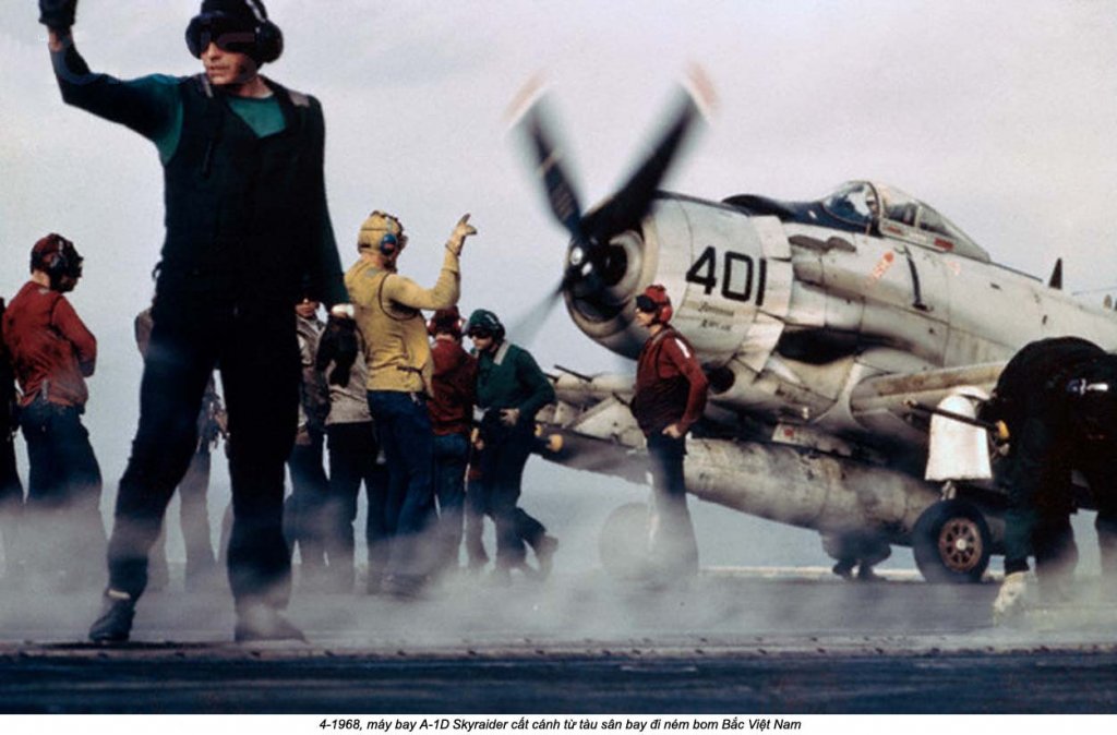 A-1D Skyraider (3).jpg