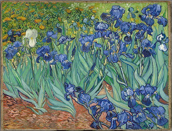 Irises-1889-Vincent-Van-Gogh.jpg