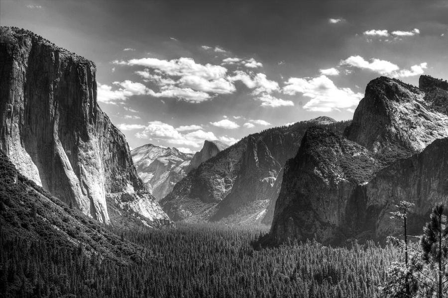 ansel-adams.jpg