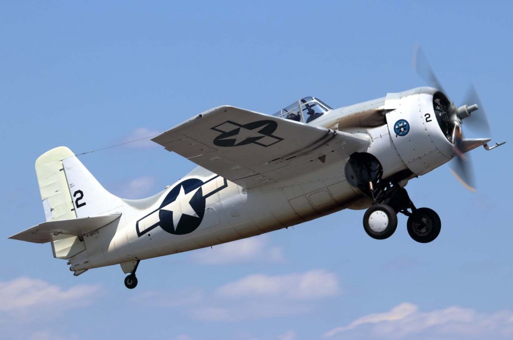 F4F Wildcat (2).jpg