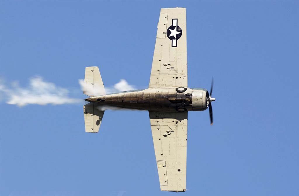 F4F Wildcat (3).jpg