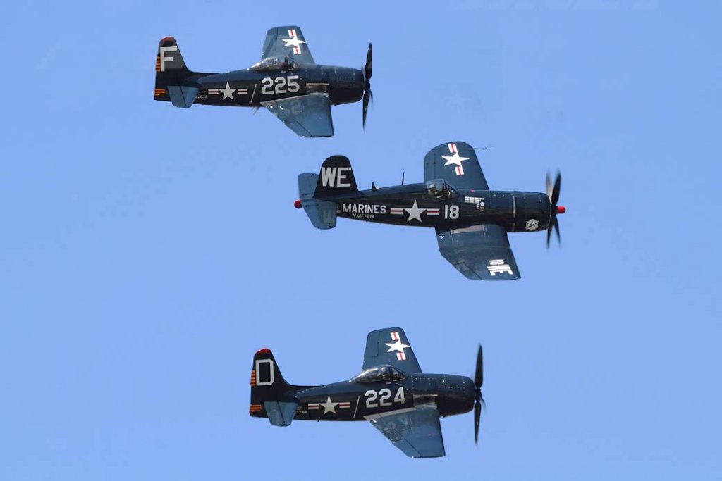 F8F Bearcat (17).jpg