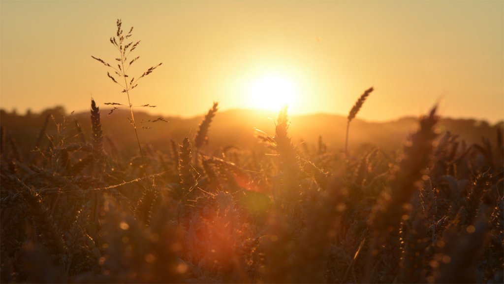 sunset.jpg