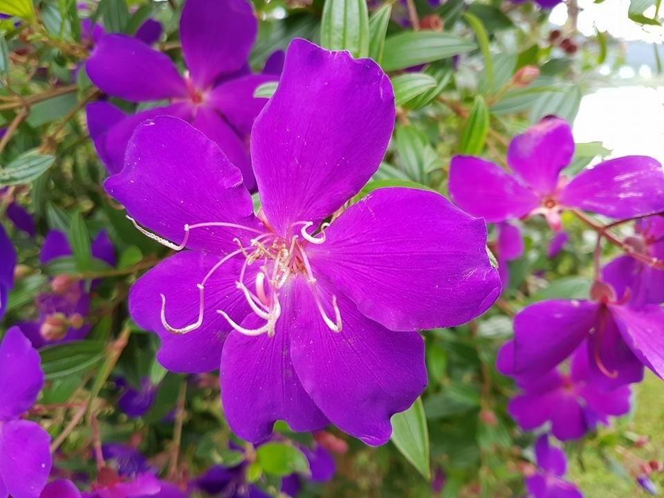 E39A0AD7-F678-4773-AC74-C9A90CCCE563.jpeg