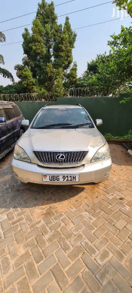 Lexus RX 2005 300 Silver (1_5).jpg