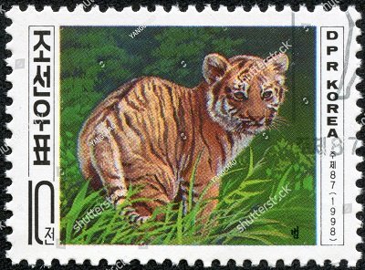 stock-photo-nortk-korea-circa-a-stamp-printed-in-dpr-korea-shows-tiger-cub-circa-162835223.jpg